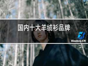 国内十大羊绒衫品牌