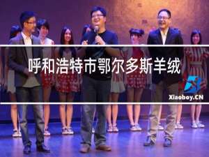 呼和浩特市鄂尔多斯羊绒衫专卖店