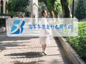 海军冬装是什么颜色的