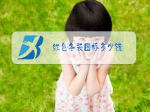 红色冬装图标多少钱