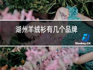 湖州羊绒衫有几个品牌