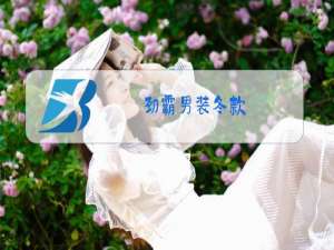 劲霸男装冬款