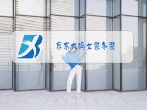 京东大码女装冬装