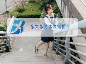 京东冬装连衣裙图片