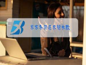 京东冬装连衣裙长款
