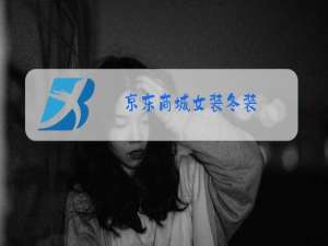 京东商城女装冬装