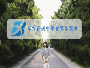京东商城中年女装冬装羊绒大衣