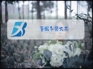 警服冬装大衣