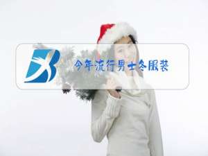 今年流行男士冬服装