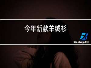 今年新款羊绒衫