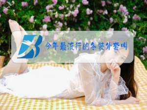 今年最流行的冬装外套叫什么