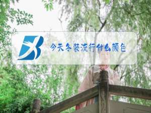 今天冬装流行什么颜色
