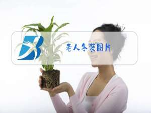 老人冬装图片