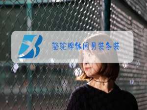 骆驼牌休闲男装冬装