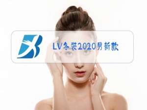 LV冬装2020男新款