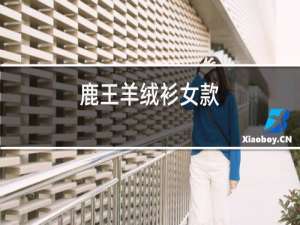 鹿王羊绒衫男款