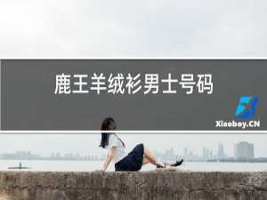 鹿王羊绒衫男士号码