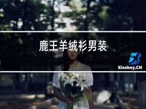 鹿王羊绒衫男装
