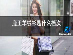 鹿王羊绒衫是什么档次