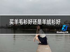 买羊毛衫好还是羊绒衫好