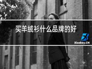 买羊绒衫什么品牌的好