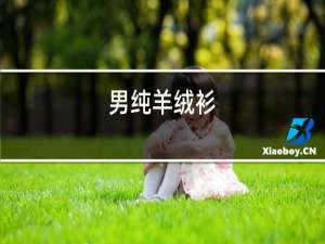 男纯羊绒衫