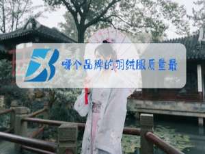 哪个品牌的羽绒服质量最好