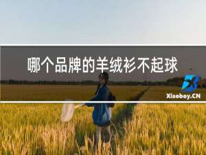 哪个品牌的羊绒衫不起球