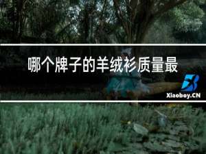哪个牌子的羊绒衫质量最好
