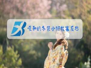 暖和的冬装小班教案反思
