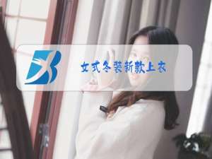 女式冬装新款上衣