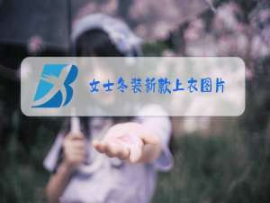 女士冬装新款上衣图片