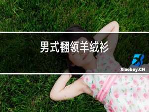 男式翻领羊绒衫