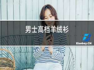 男士高档羊绒衫