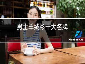 女士羊绒衫十大名牌