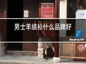 男士羊绒衫什么品牌好