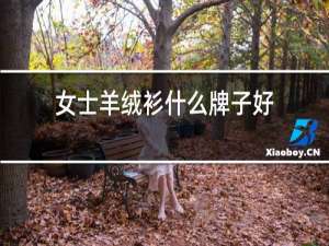 男士羊绒衫什么牌子好