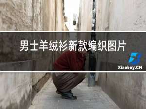 男士羊绒衫新款编织图片