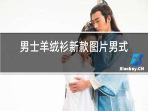 男士羊绒衫新款图片男式