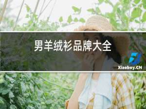 男羊绒衫品牌大全