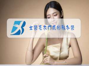 女装毛衣打底衫秋冬装