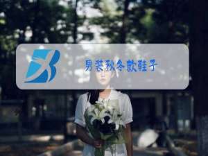男装秋冬款鞋子