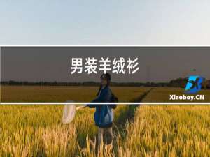 男装羊绒衫