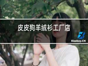 皮皮狗羊绒衫工厂店