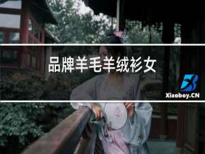 品牌羊毛羊绒衫女
