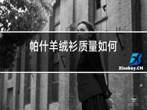 帕什羊绒衫质量如何