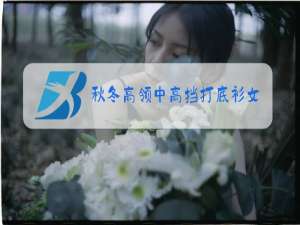 秋冬高领中高挡打底衫女装新款