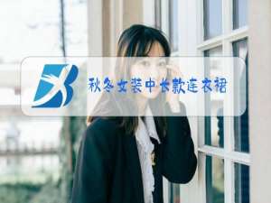秋冬女装中长款连衣裙