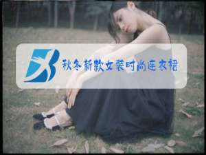 秋冬新款女装时尚连衣裙图片