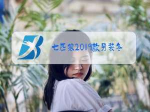 七匹狼2019款男装冬装